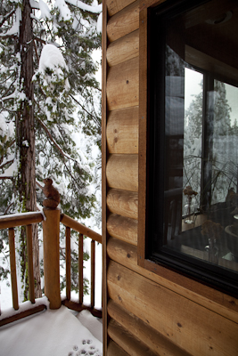 log cabin siding